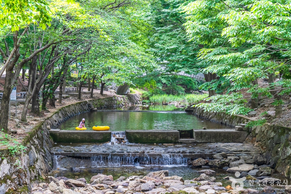 완주 고산자연휴양림