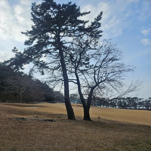 거제 저도 '대통령의 휴양지' 탐방: 2026 재개방 관람 후기