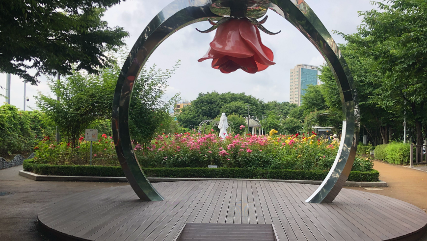 서울 중랑장미공원 관련 사진