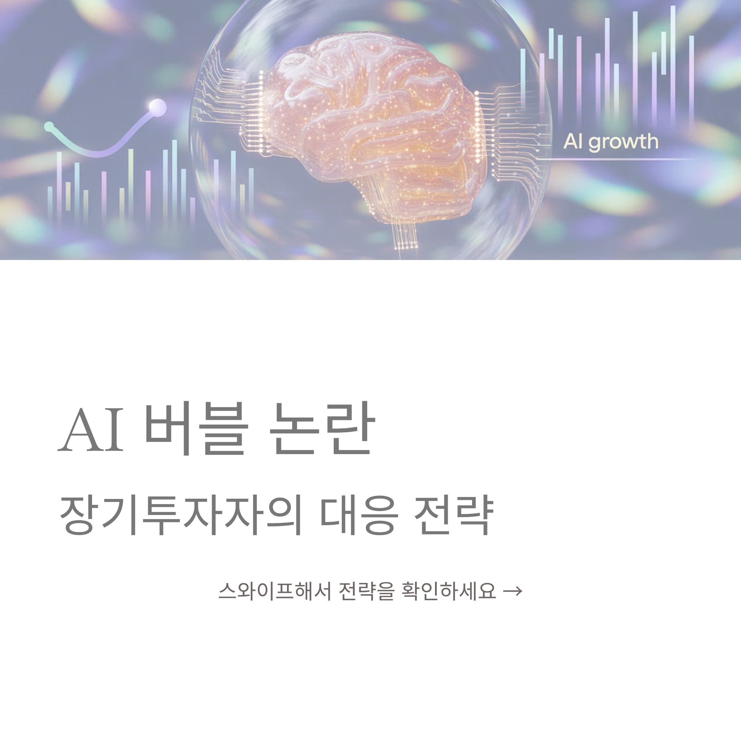 AI 버블 논란, 장기투자자의 대응 전략