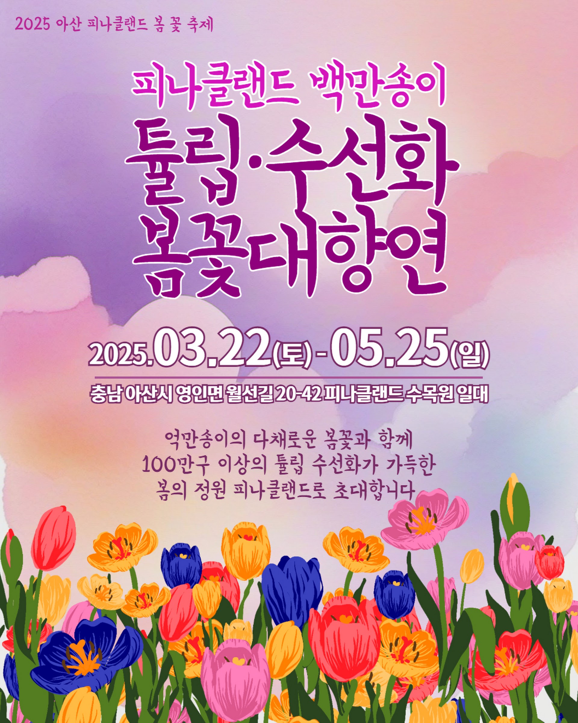 아산 피나클랜드 튤립 수목원, 천안 근교 봄나들이 명소🌷