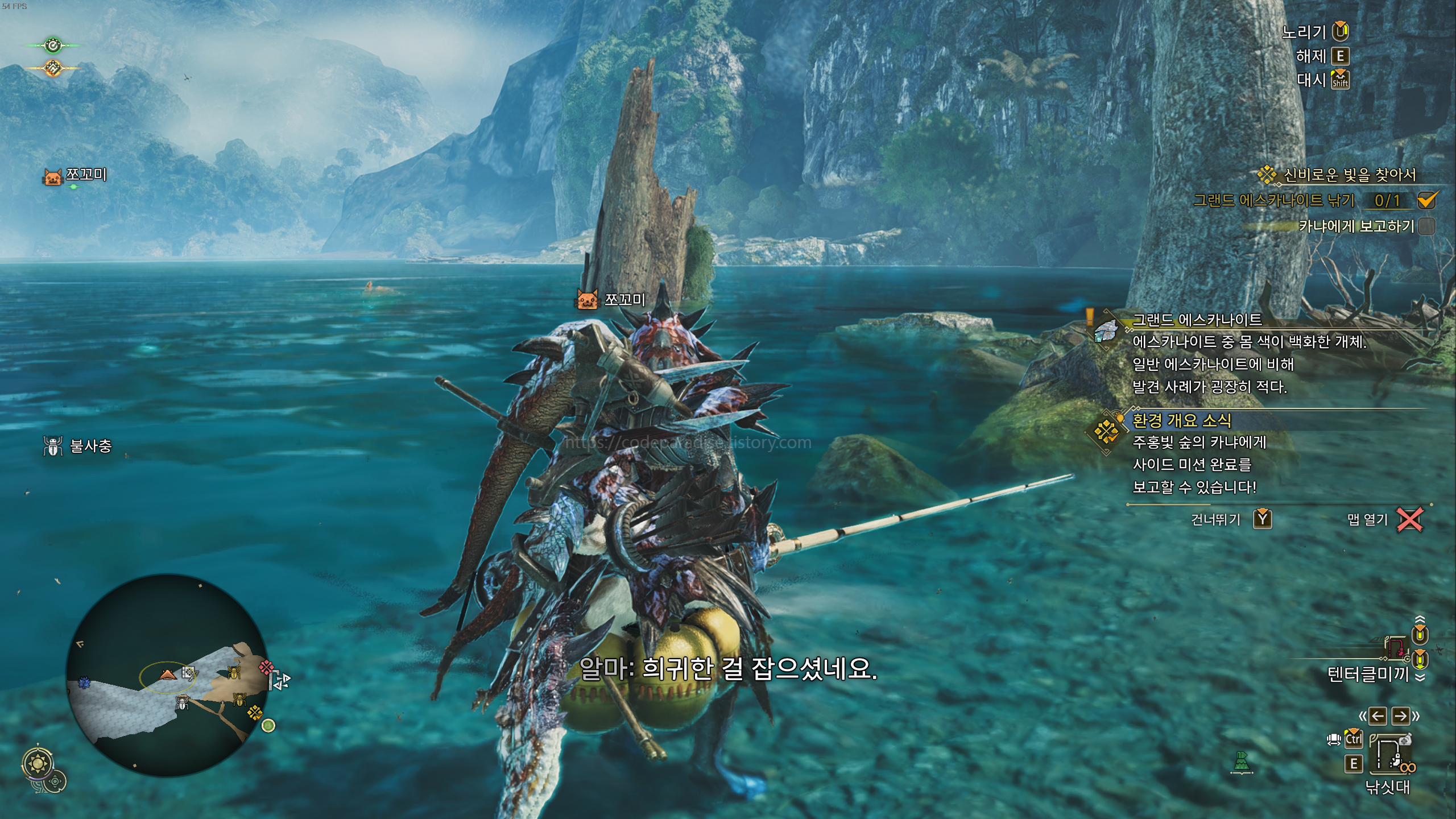 clear.jpg