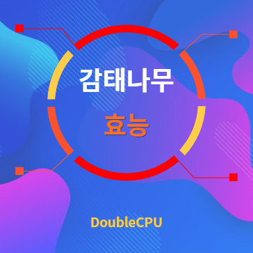 감태나무 효능 탐구