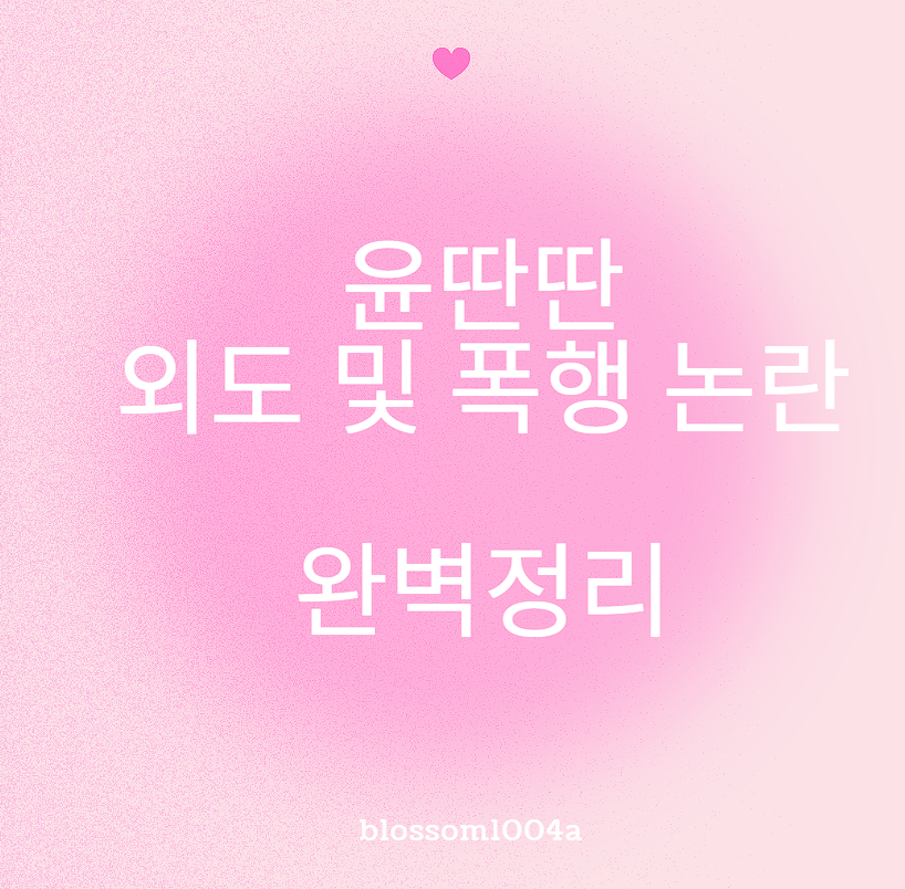 윤딴딴 외도 및 폭행 논란 완벽정리