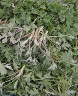 쑥 효능 부작용 칼로리 요리