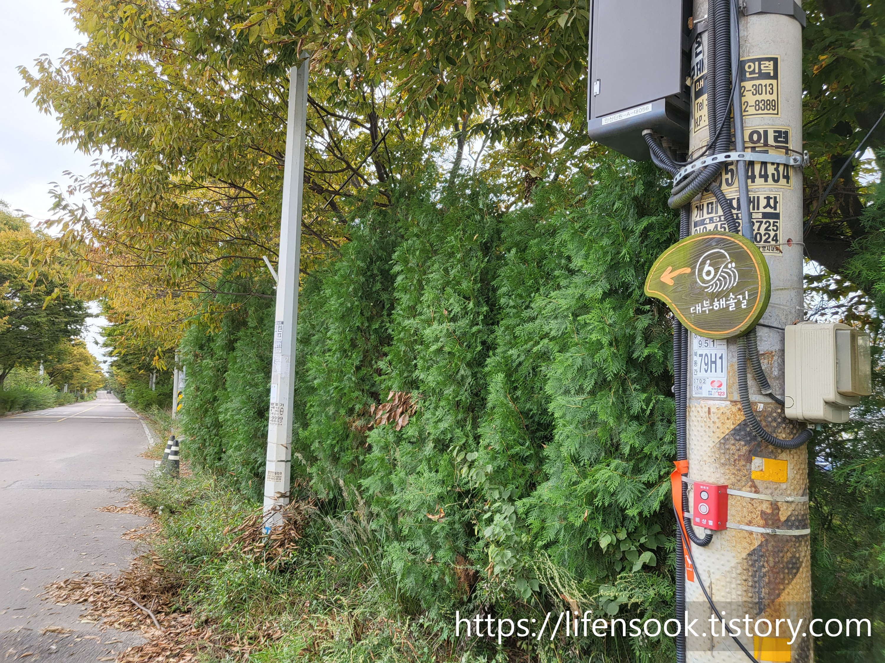 대부해솔길 6코스 이정표 2