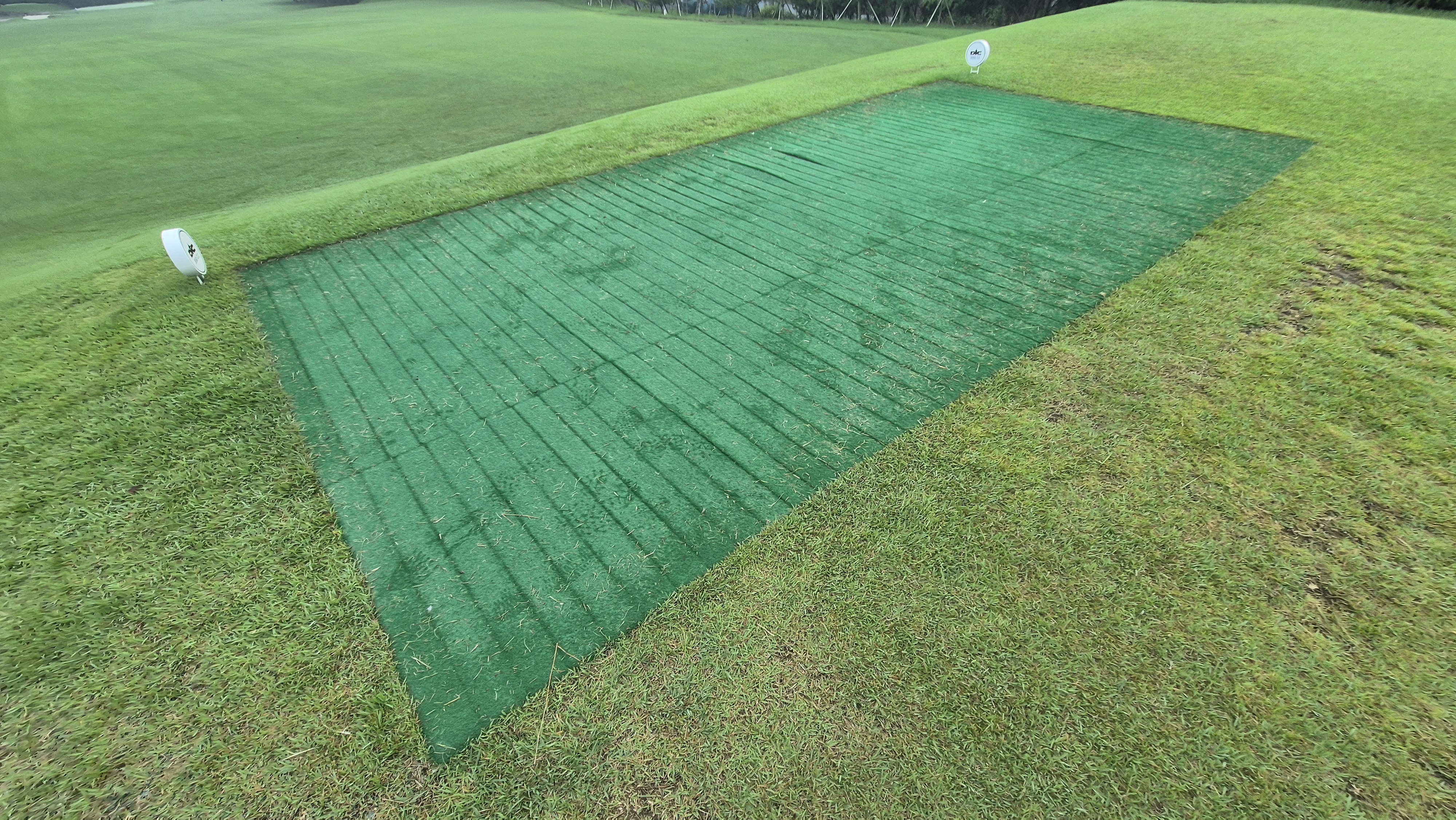 도고cc 티잉구역상태