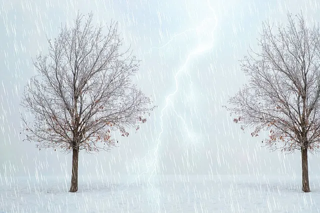 동에 번쩍 서에 번쩍 동해 번쩍 서해 번쩍 헷갈리는 올바른 표현 정리_1