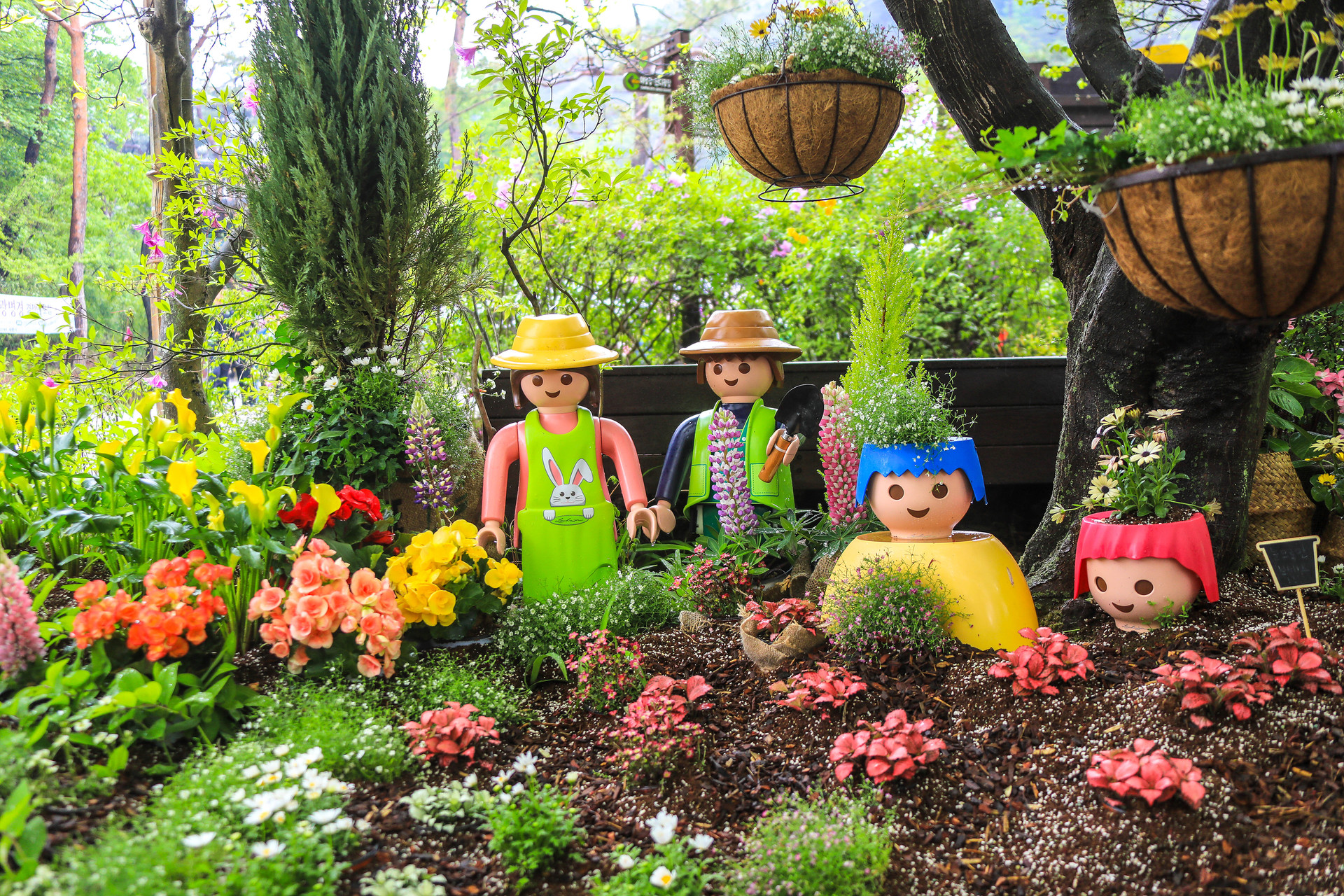 양평 용문산 산나물축제