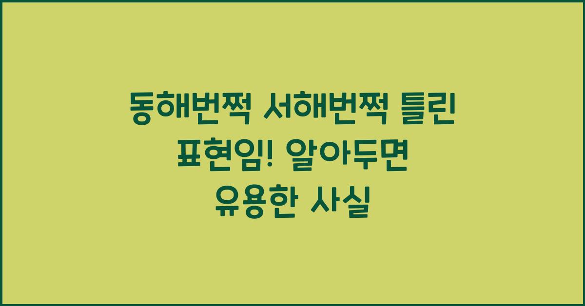 동해번쩍 서해번쩍 틀린 표현임!