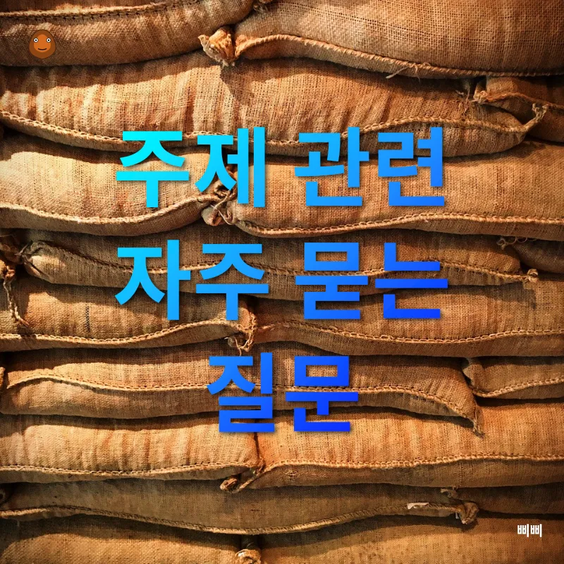 음악 컬렉션 보관_4
