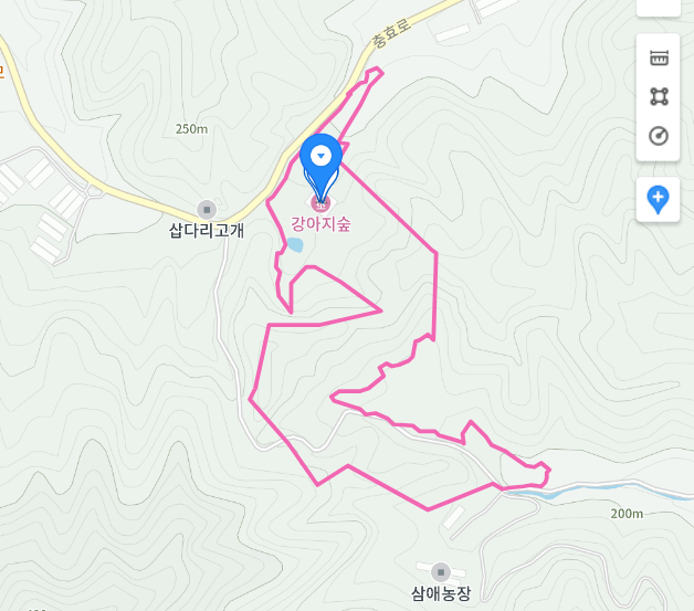 강아지숲 테마파크 찾아가는 길