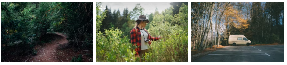 안면도-자연휴양림