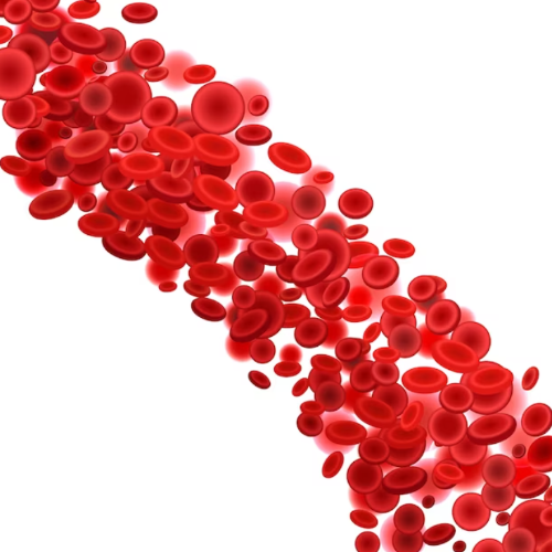 고지혈증_원인_치료방법_식이요법