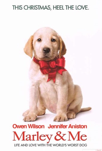 말리와 나 (Marley &amp; Me) 삶의 여정, 반려동물, 말리의 교훈