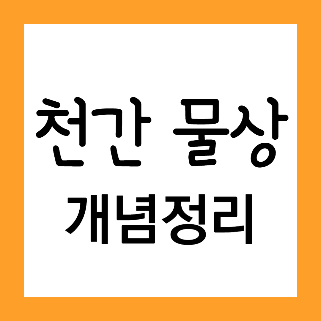 천간 물상 개념 정리