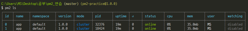 nodejs-pm2