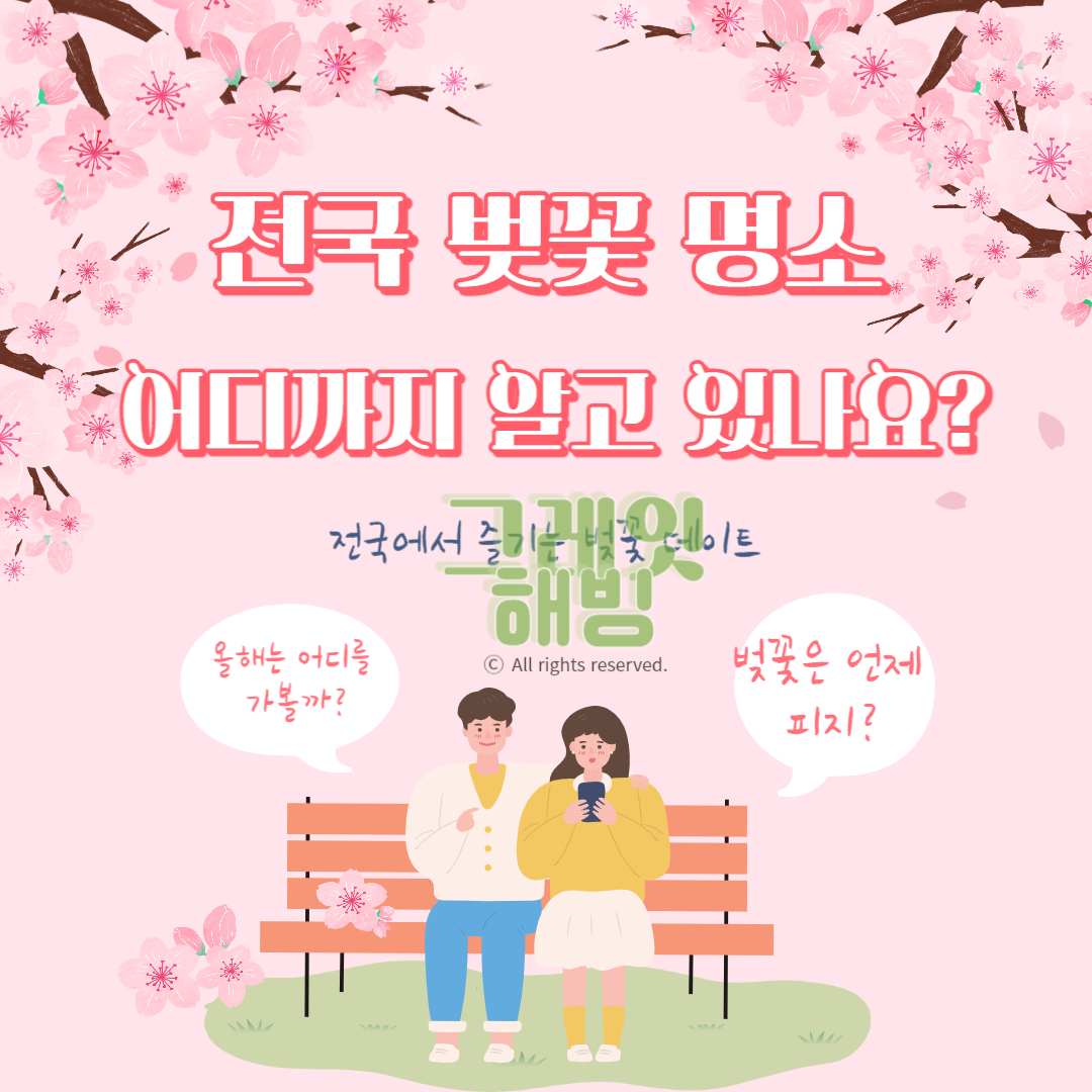 2024 벚꽃 명소 작년보다 빠른 벚꽃 개화 시기 지역별 명소의 재구성