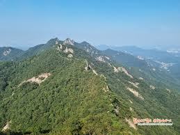 계룡산 단풍명소