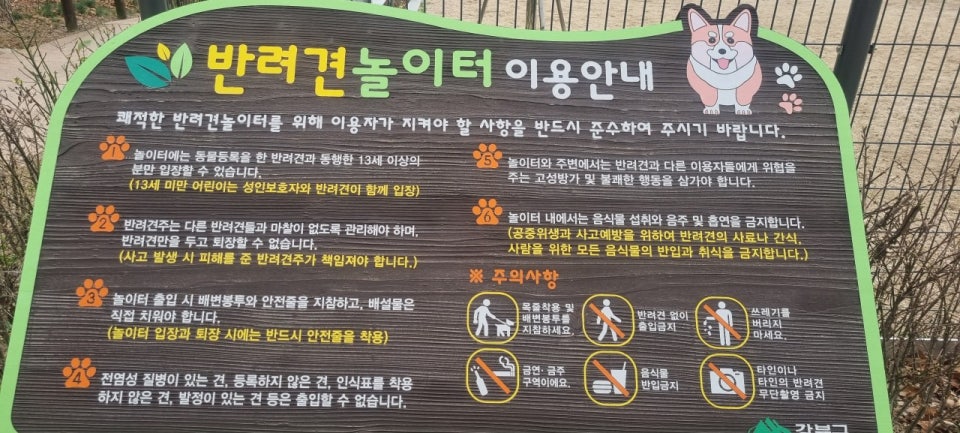 서울 도심 속 반려견과 산책하기 좋은 공원 BEST 6 관련 사진