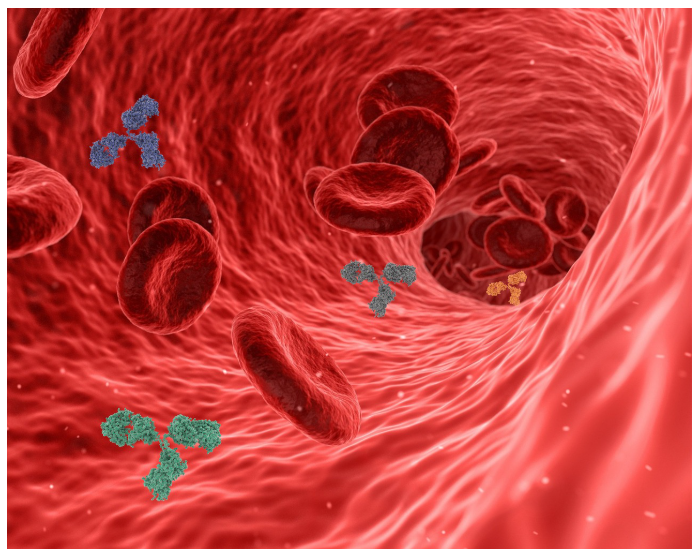 혈관섬유종(Angiofibroma)에 대해 알아보기