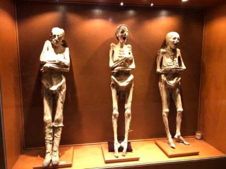 미이라 박물관 사진