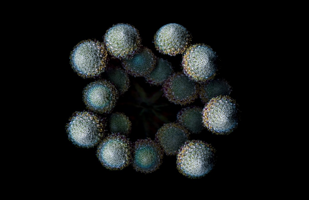 Scanner.
