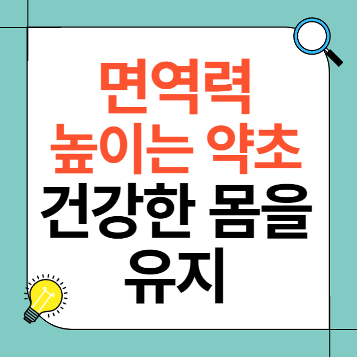 면역력 높이는 약초