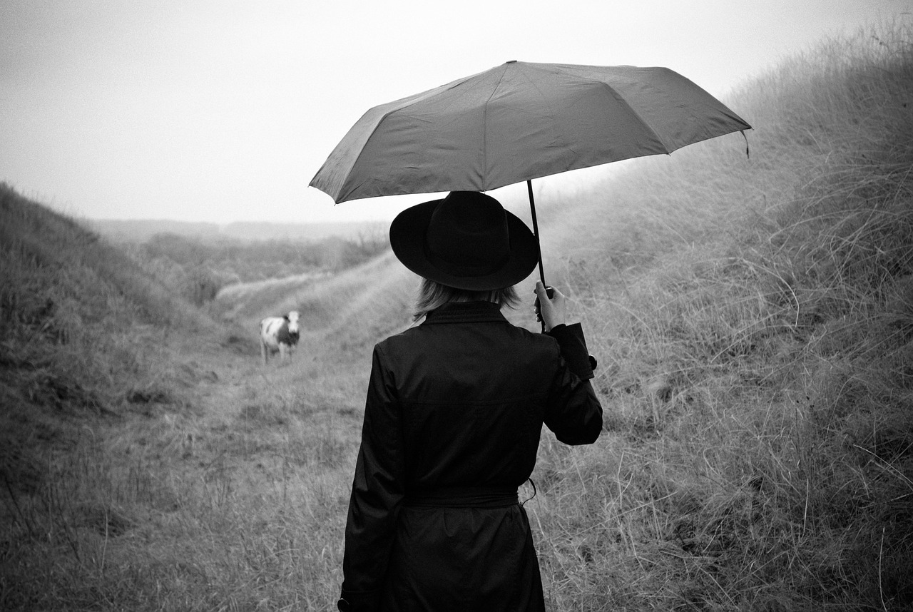 느와르 영화의 매력