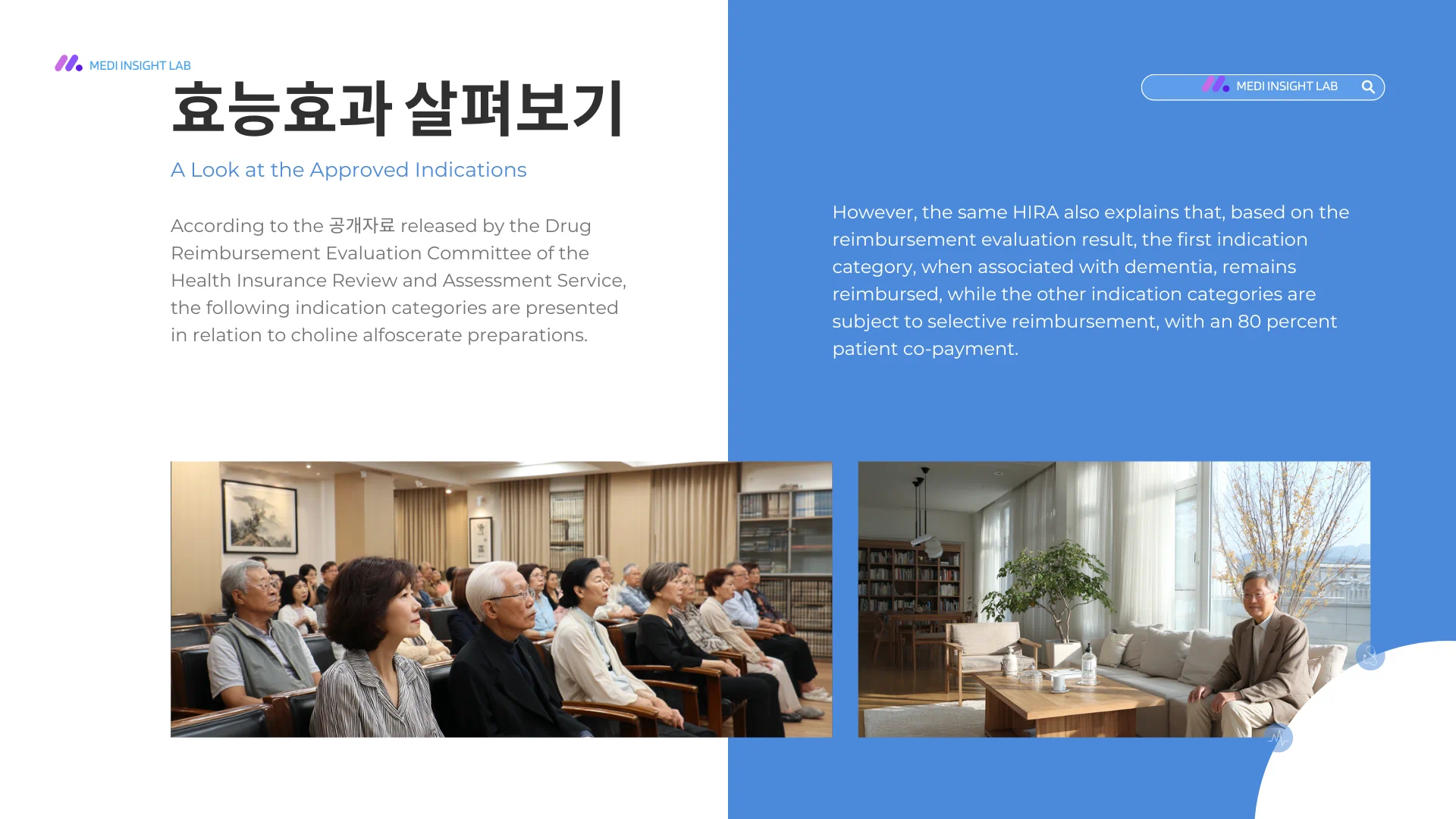 기억력 저하, 집중력 감소, 감정 및 행동 변화 등 허가사항에서 확인되는 효능효과 범주를 시각적으로 정리하는 이미지
