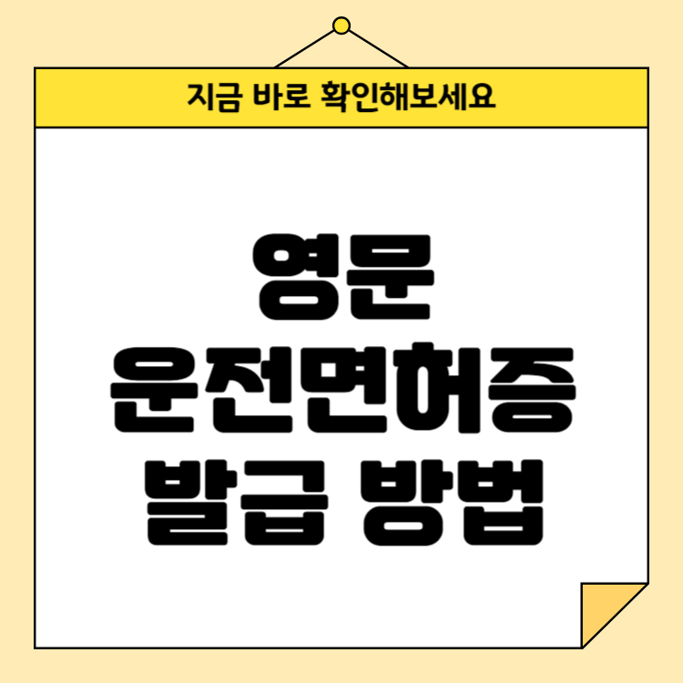 영문운전면허증 발급 방법: 발급 비용부터 준비물까지 완벽 정리