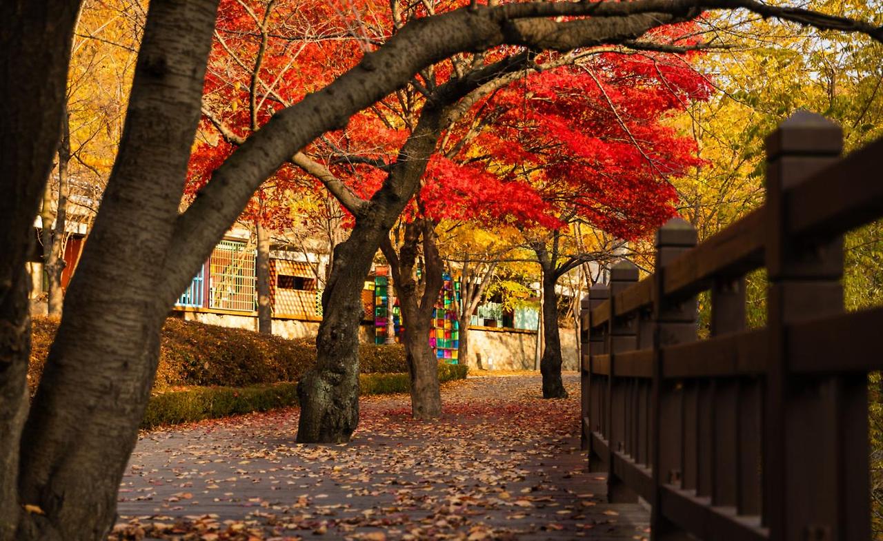 화담숲 온라인으로 3분만에 예약하기