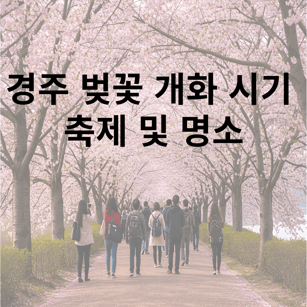 경주 벚꽃 개화 시기 및 축제 및 명소와 관련된 사진