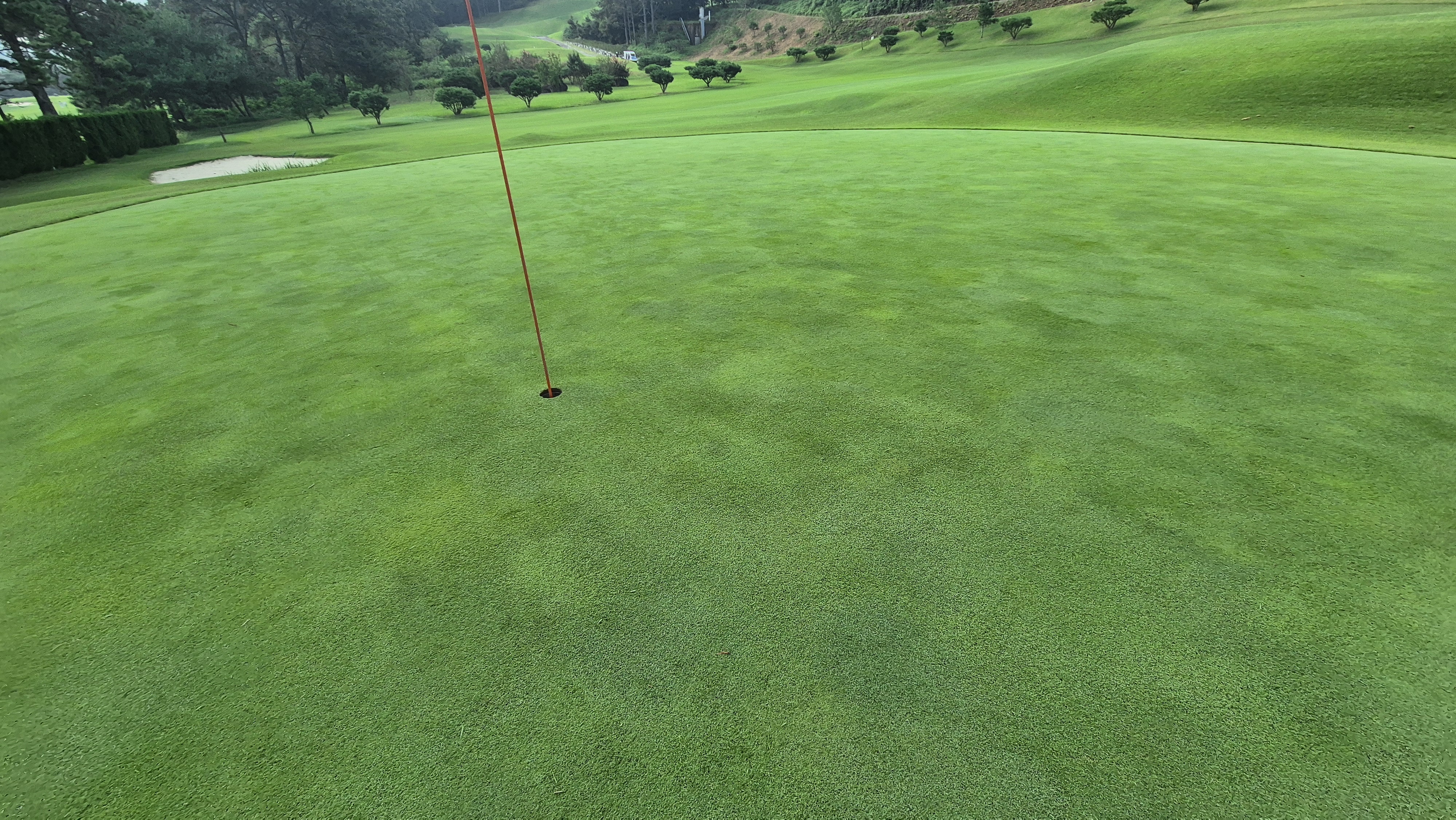 도고cc 그린 관리상태