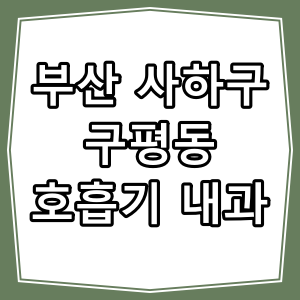 부산시 사하구 구평동 호흡기 내과 진료 동네 병원