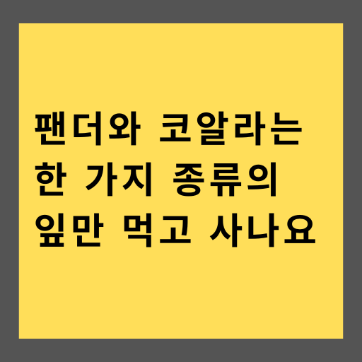 팬더와 코알라는 한 가지 잎만 먹고 사나요?