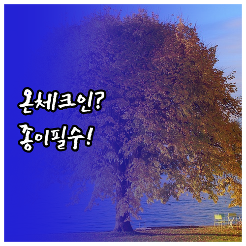 구원항공 온라인 체크인 없음, 종이 ..