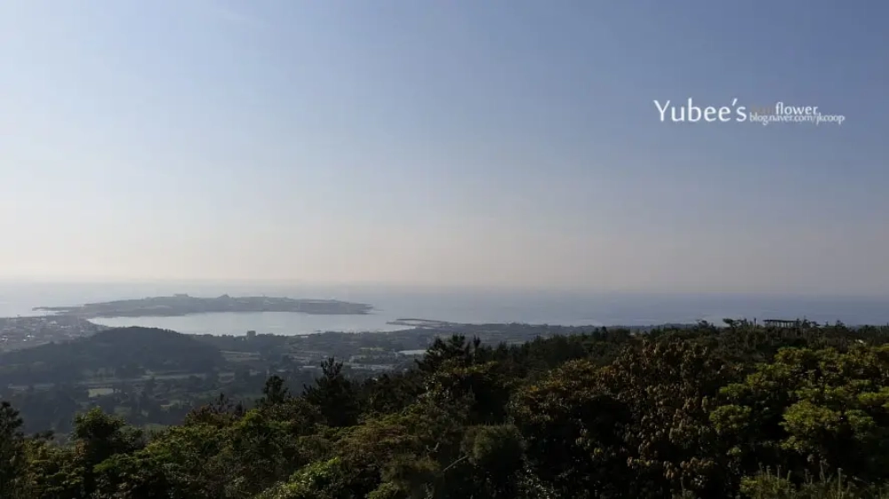 대수산봉 정상에서 본 섭지코지