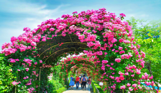 서울시봄꽃길171선