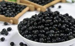 검은콩 효능