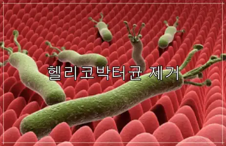 매스틱 효능