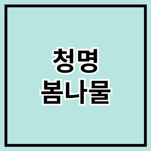 🌿 청명(淸明), 제철 봄나물 즐기기! 🌱