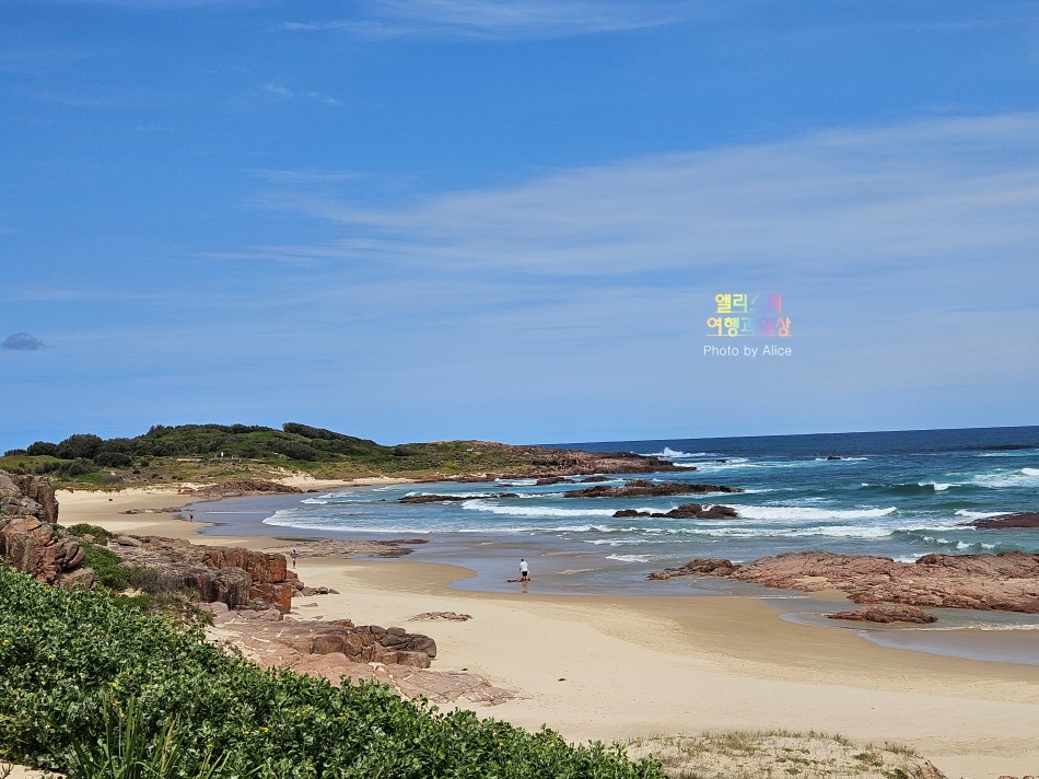 호주 시드니 사막 포트스테판 투어 솔직후기 가격 코스 야생 돌고래 크루즈