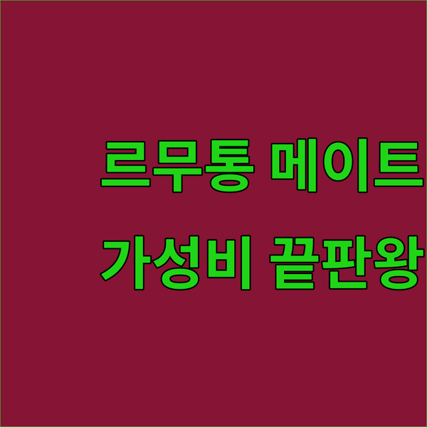발 편한 메리노울 운동화 추천.. 르