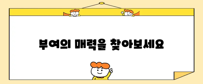 충남 부여에서 꼭 방문해야 할 여행지 10곳!