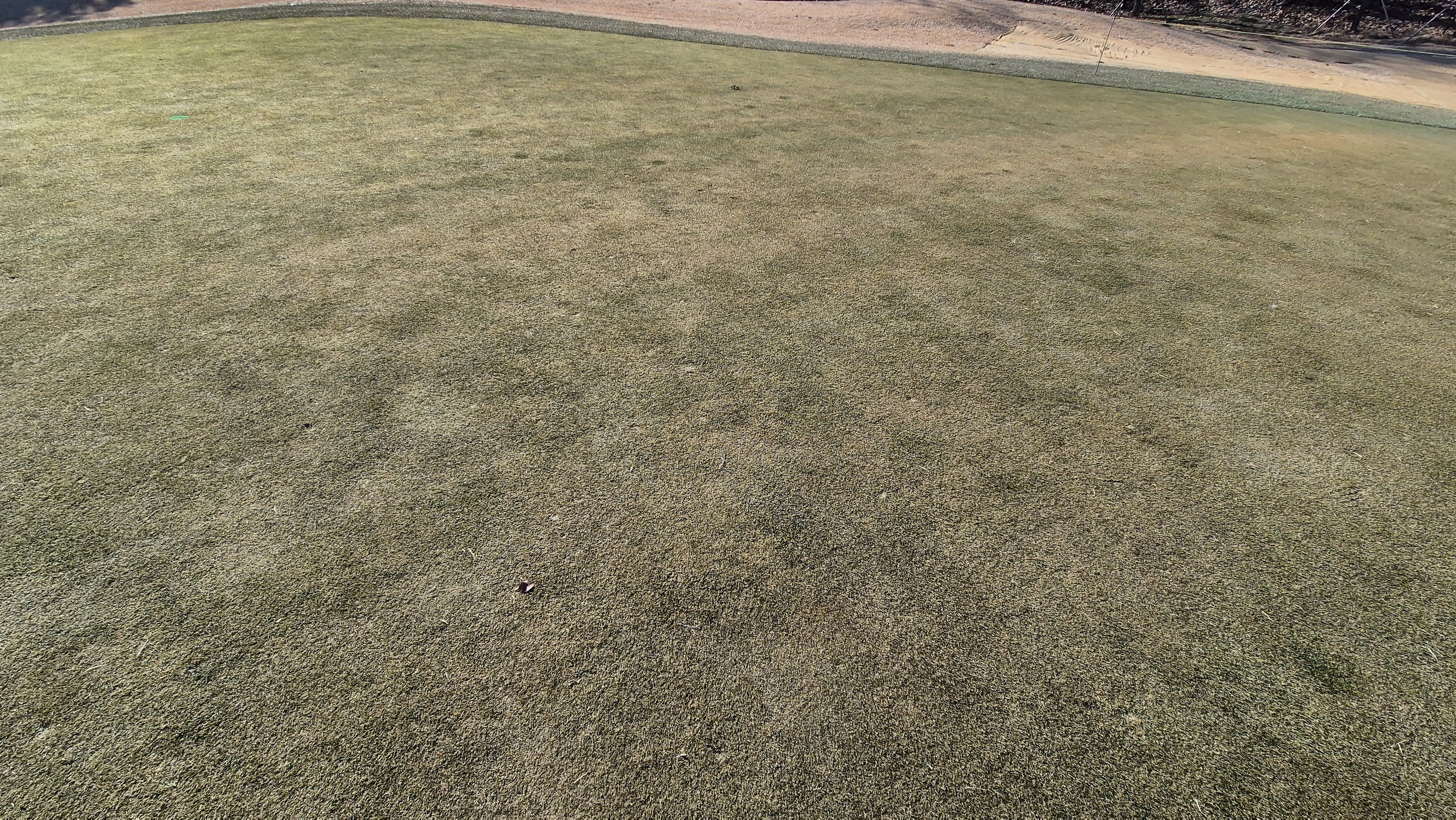 더크로스비gc 아리아-샬롯 코스 그린관리상태