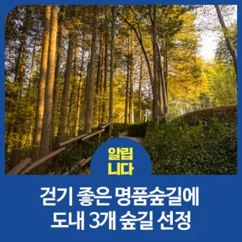 걷기좋은 숲길 50 서울 전남 경북_6