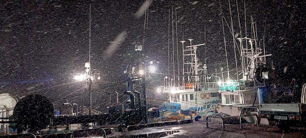 눈밤 서귀포항구