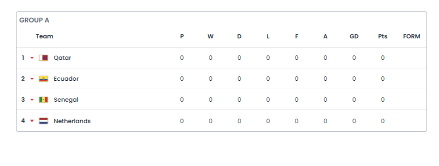 2022년 카타르 월드컵