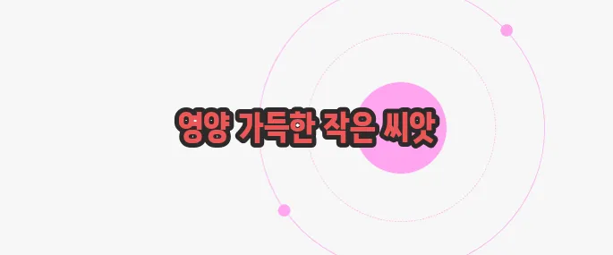 해바라기 씨 효능 한번 체크해보죠